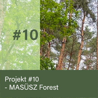 MASÜSZ Forest