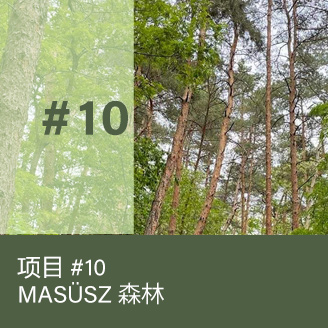 MASÜSZ Forest