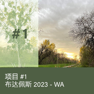 BUDAPEST 2023 – WA