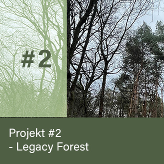 Legacy Forest