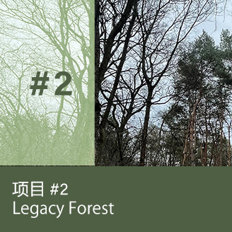 Legacy Forest
