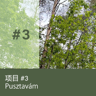 Pusztavám