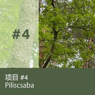 Piliscsaba