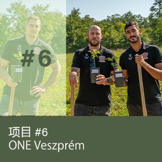ONE Veszprém