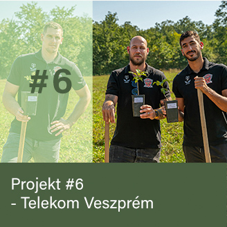 Telekom Veszprém