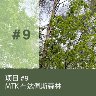 MTK Budapest Forest Project – Fenntartható jövő a futballban