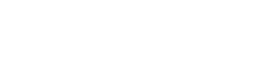 BIG FISH Payment Gateway